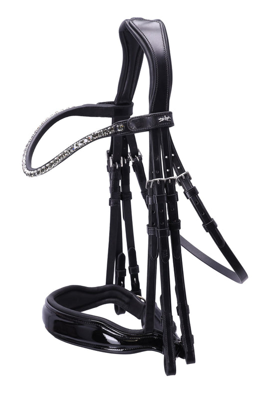 Double bridle with anatomic noseband and headpiece