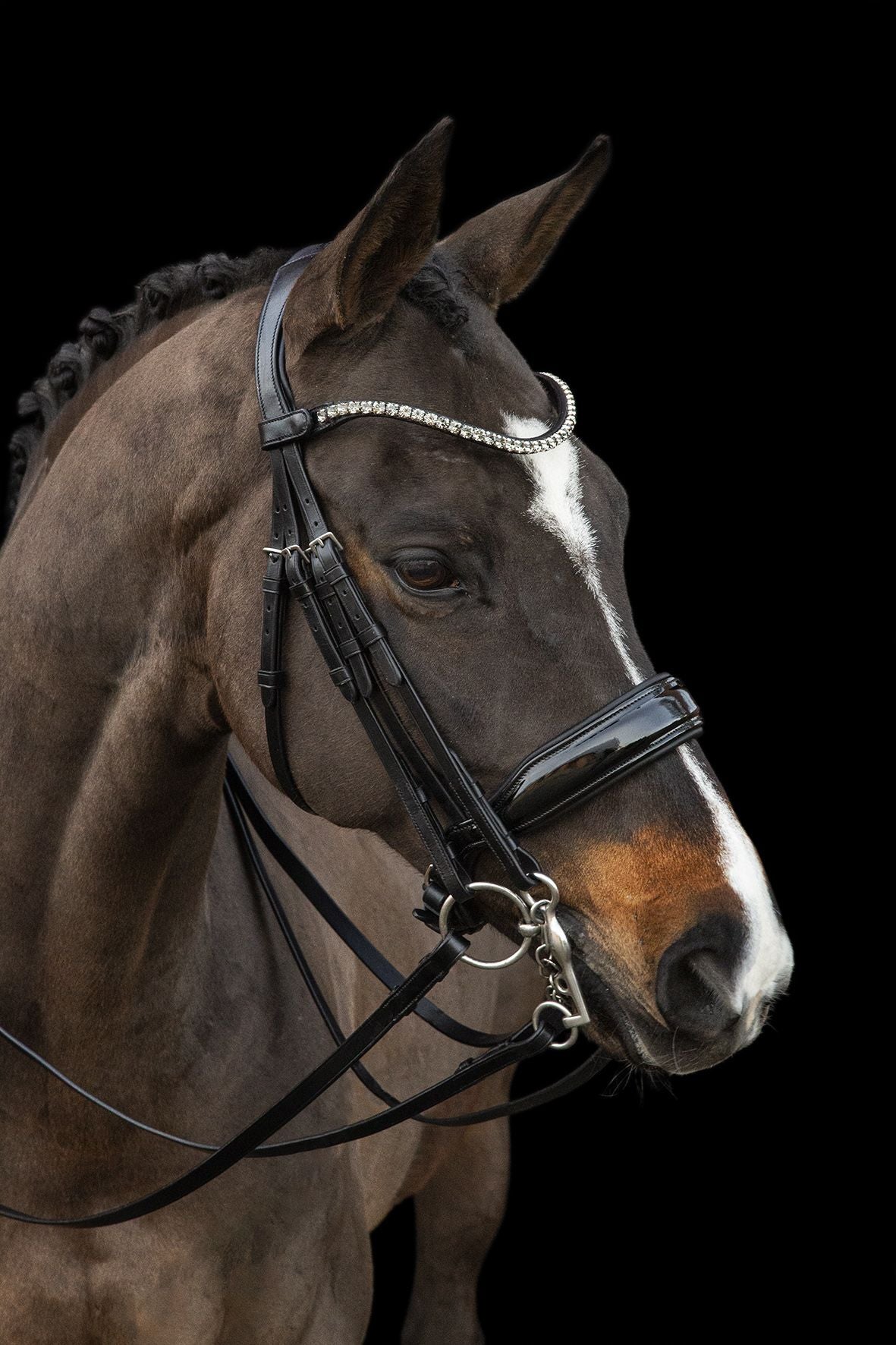 SCHOCKEMÖHLE SPORTS ANATOMIC DOUBLE BRIDLE - MILAZZO