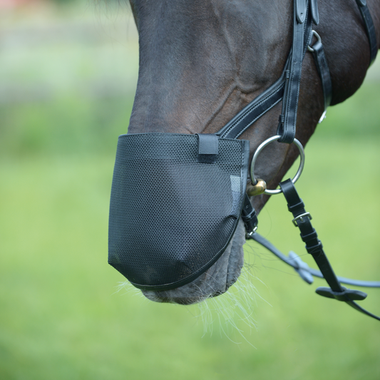 Nose net attached to noseband