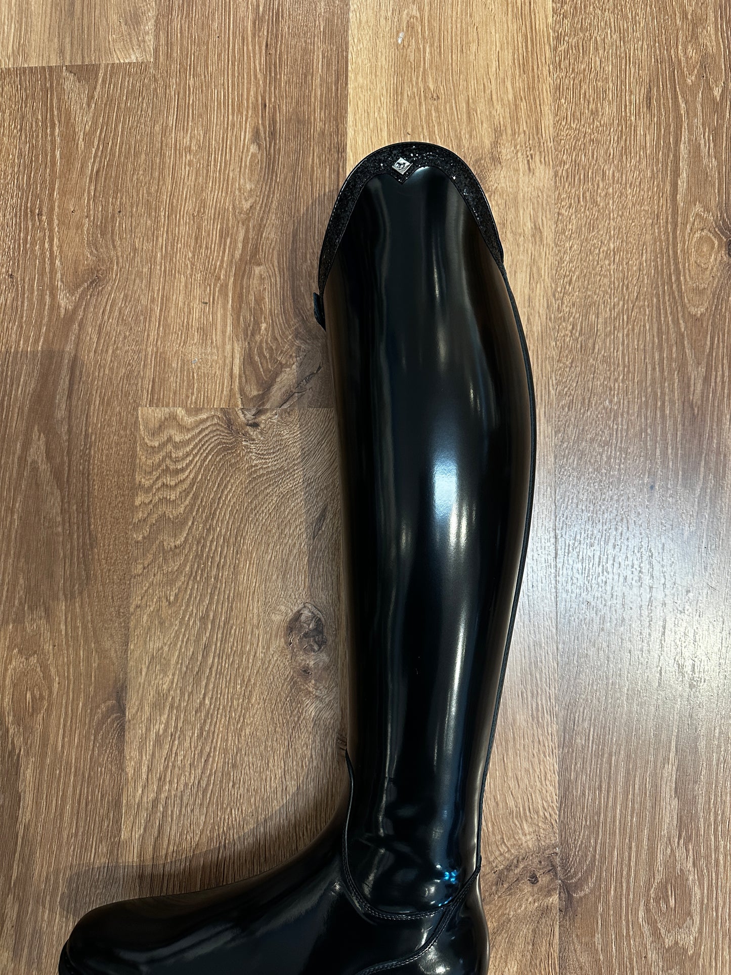 DE NIRO BELLINI DRESSAGE TALL BOOT WITH RONDINE GALA TOP