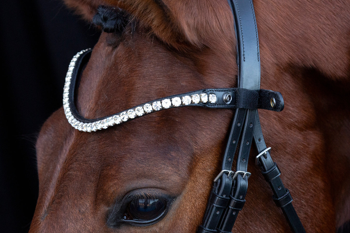 SCHOCKEMÖHLE SPORTS CRYSTAL BROWBAND - SIENA