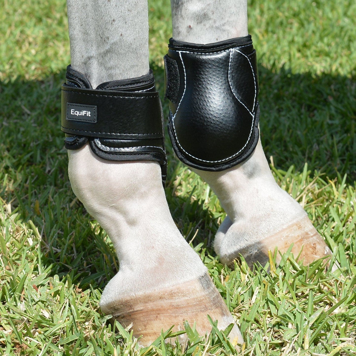 EQUIFIT YOUNG HORSE HIND BOOT WITH IMPACTEQ® LINER